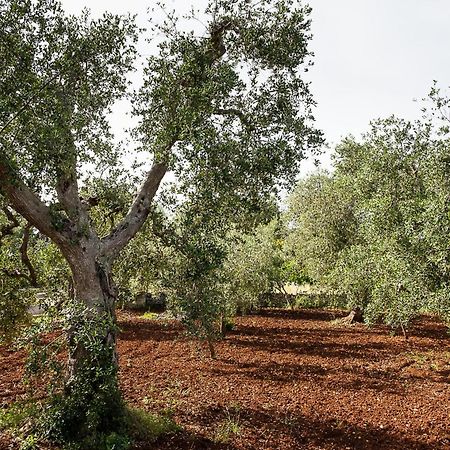 Villetta Da Zio Marcello Ostuni Exteriér fotografie