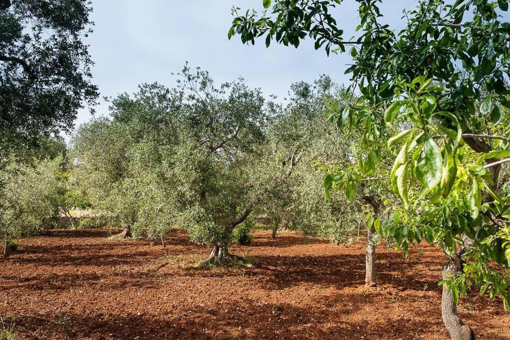 Villetta Da Zio Marcello Ostuni Exteriér fotografie